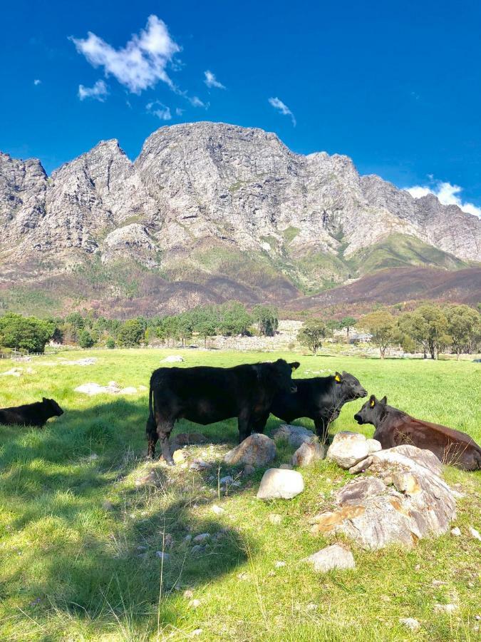 The Barn In Franschoek Guest House Франшхоек Екстериор снимка