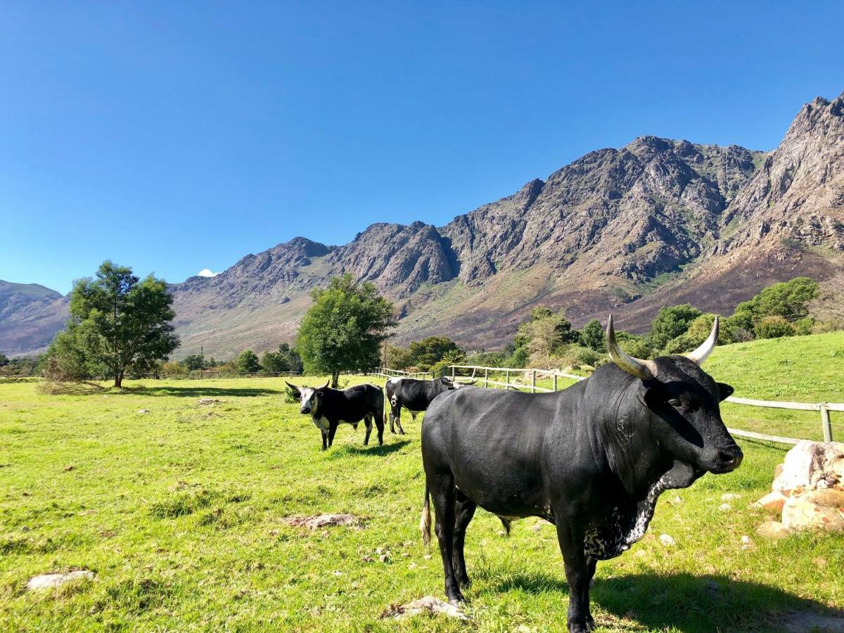 The Barn In Franschoek Guest House Франшхоек Екстериор снимка